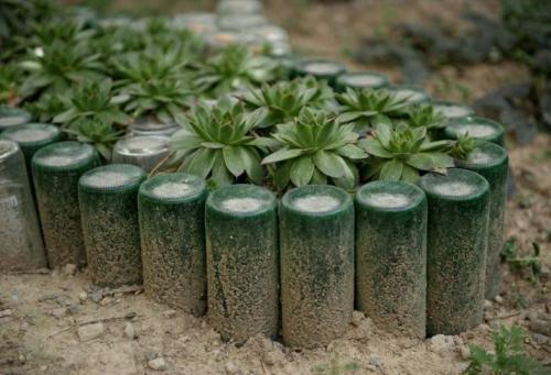 Клумбы из 5 литровых пластиковых бутылок. Клумба из бутылок — простые фото-идеи, дизайн клумб своими руками, из пластиковых, стеклянных бутылок (инструкция)