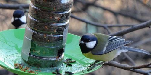 Кормушка из 5-литровой бутылки. Делаем кормушки для птиц из пластиковых бутылок: фото и видео