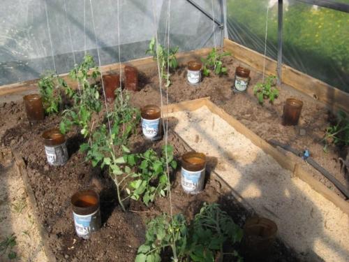 Способы применения 5-литровых пластиковых бутылок на даче. 8 нестандартных идей использования 5-литровых пластиковых бутылок на даче