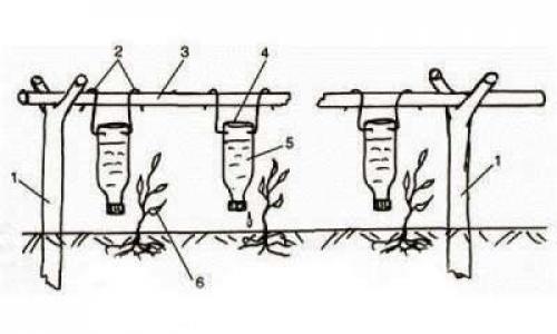 Способы применения 5-литровых пластиковых бутылок на даче. 8 нестандартных идей использования 5-литровых пластиковых бутылок на даче 26