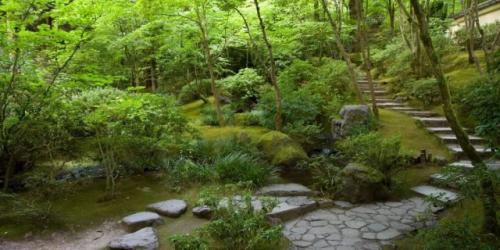 Какие ошибки чаще всего допускают при планировке участка 13 соток. Планировка участка и границы зон