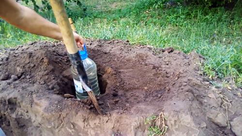 Капельный полив из бутылки 5 литров. Изготовление и регулировка капельного полива