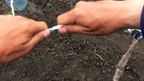 Капельный полив из бутылки и капельницы. Процесс изготовления и установки капельного полива