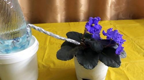 Капельный полив из бутылки и капельницы. Процесс изготовления и установки капельного полива