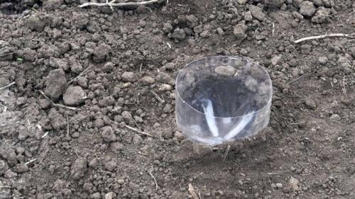 Капельный полив из бутылки и капельницы. Процесс изготовления и установки капельного полива