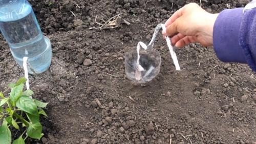 Капельный полив из бутылки и капельницы. Процесс изготовления и установки капельного полива