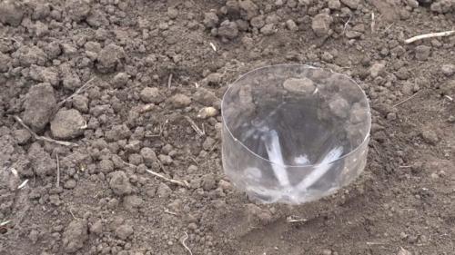 Капельный полив из бутылки - равномерный полив 30 дней. Отличный способ сделать простой капельный полив на 30 дней