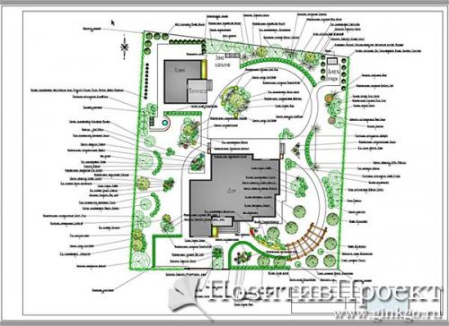 Можно ли использовать однолетние растения в дендроплане 15 соток. Составление дендроплана