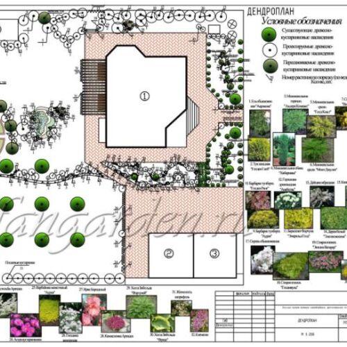 Дендроплан участка 15 соток: как создать красивый и функциональный сад 12 Дендроплан участка 15 соток: как создать красивый и функциональный сад 12