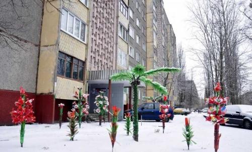 Пальмы из пластиковых бутылок. Пальма из пластиковых бутылок – пошаговая инструкция, как сделать искусственное растение (85 фото)