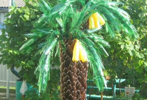 Пальмовые листья из пластиковых бутылок. Пальма из бутылок — подробное описание, как сделать из различных материалов своими руками