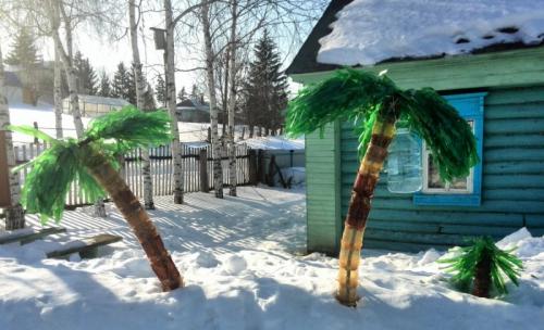 Пальмовые листья из пластиковых бутылок. Пальма из бутылок — подробное описание, как сделать из различных материалов своими руками