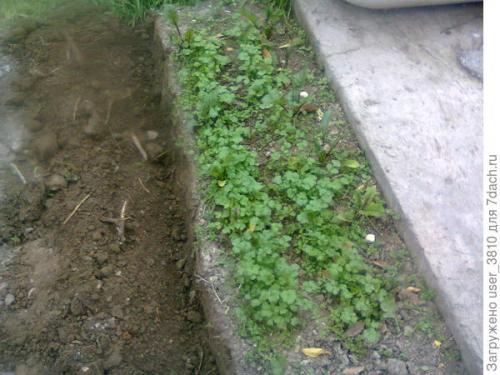 Как сделать садовые метки из пластиковых бутылок. Ограждение для грядок из пластиковых бутылок