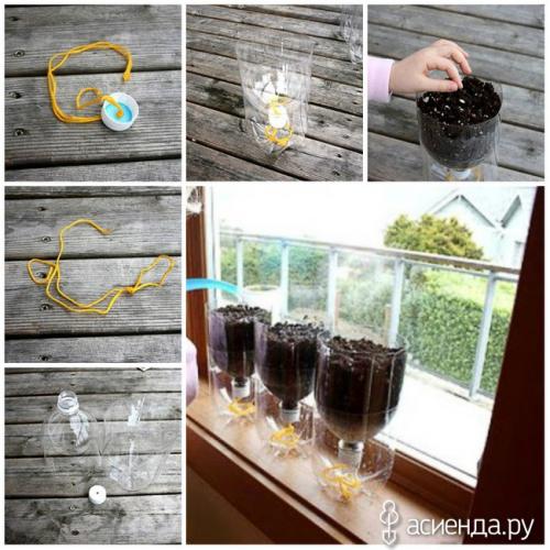 Какие шаги необходимы для создания самополивающегося горшка. Диковинка комнатного цветоводства, или самополивающийся горшок