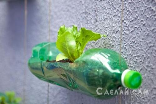 Можно ли использовать пластиковые бутылки для создания функциональных предметов для сада, таких, как горшки или лейки. Используем пластиковые бутылки, как горшки под цветы для оранжереи