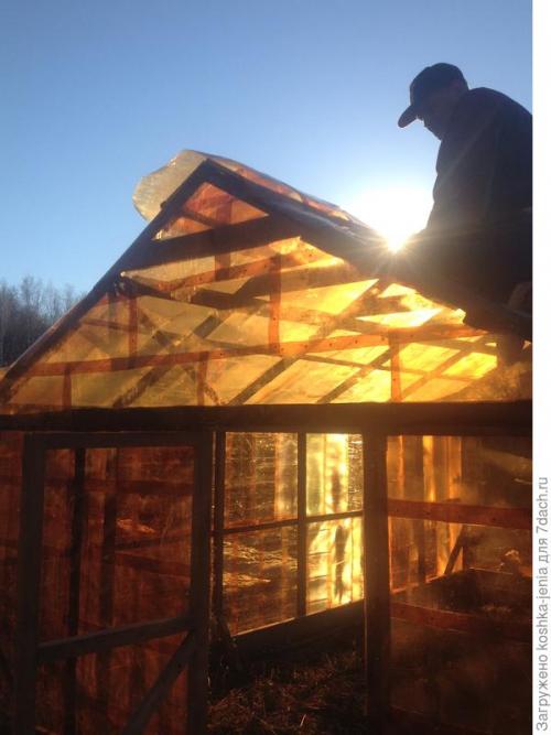 Как сделать самодельный мини-парник из пластиковых бутылок. Теплица своими руками из пластиковых бутылок