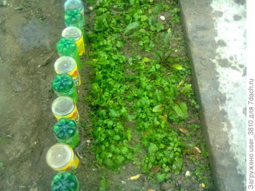 Как сделать садовые метки из пластиковых бутылок. Ограждение для грядок из пластиковых бутылок