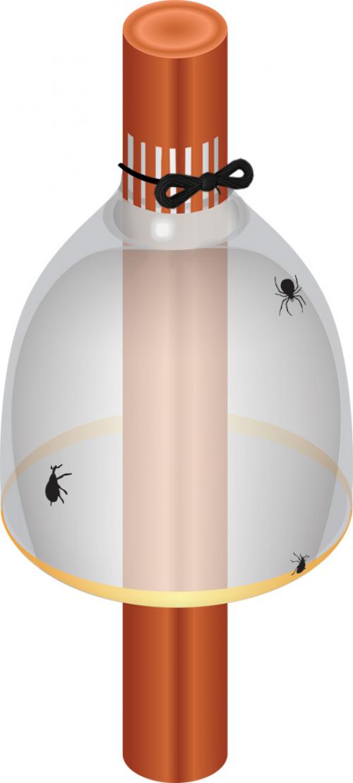 Как сделать садовые метки из пластиковых бутылок. Дачные хитрости. Делаем этикетки для растений и ловчие пояса от вредителей