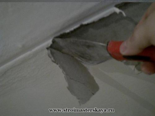 Как покрасить гипсокартон водоэмульсионной краской. Виды красок, подходящих для ГКЛ 11 Как покрасить гипсокартон водоэмульсионной краской. Виды красок, подходящих для ГКЛ 11