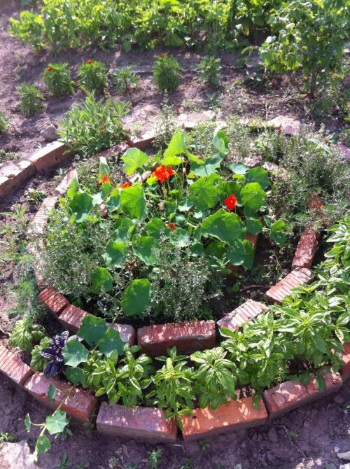 Клумбы своими руками из кирпича. Клумбы из кирпича —, как красиво сложить своими руками? 115 фото и советы дизайнеров