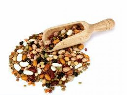 Какими продуктами заменить мясо. «Где вы берете белок?» 10 Какими продуктами заменить мясо. «Где вы берете белок?» 10