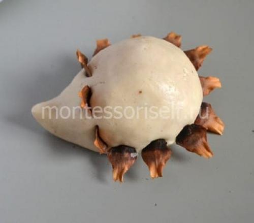 Ежик из шишки и соленого теста