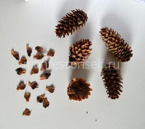 Ежик из шишки и соленого теста