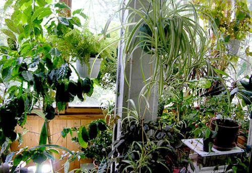 Какая температура на застекленном балконе зимой. Какая температура на балконе зимой