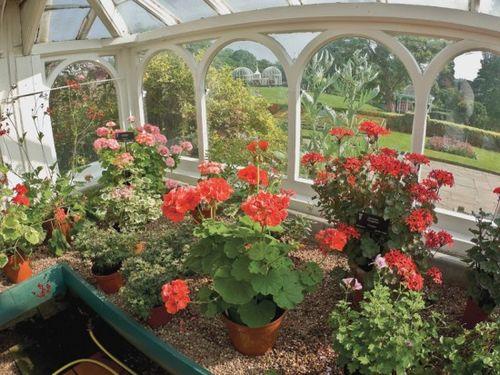 Какая температура на застекленном балконе зимой. Какая температура на балконе зимой