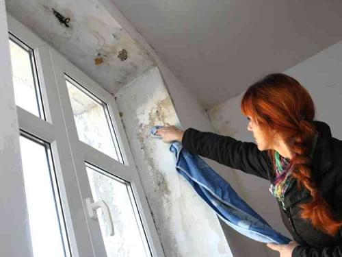 Почему темнеет пластик на окнах. Почему откосы на окнах чернеют — опасно ли это?