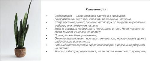 Растения для кухни. Комнатные цветы и растения для кухни — выбираем неприхотливые, полезные и красивые