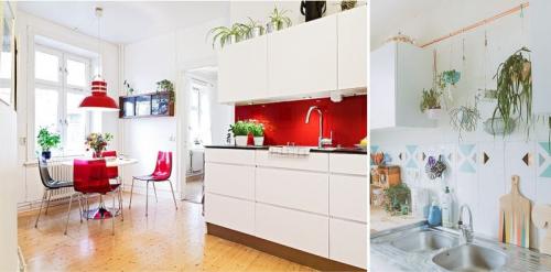 Растения для кухни. Комнатные цветы и растения для кухни — выбираем неприхотливые, полезные и красивые