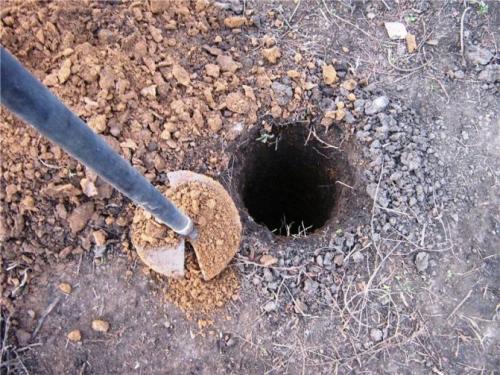 Погреб пристроенный к дому. Организационные вопросы