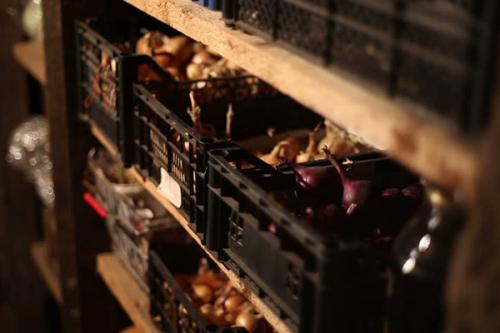 Строительство погреба внутри помещения. Укрепление стен: обеспечение безопасности 01 Строительство погреба внутри помещения. Укрепление стен: обеспечение безопасности 01