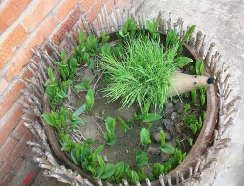 Ёжик из пластиковых бутылок своими руками. Забавный ежик из пластиковой бутылки