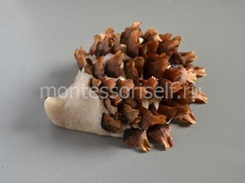 Поделка ежик из шишек. Как сделать ежика из шишек: мастер-класс с пошаговым фото