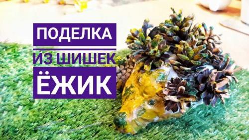 Ежик из еловых шишек. Как сделать ежика из еловых шишек и пластилина, пластиковых бутылок или природного мастериала