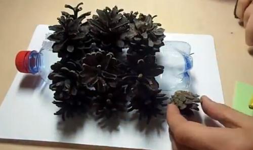 Ежик из бутылки и шишек. Ежик из шишек и пластиковой бутылки: большой и маленький (2 мастер класса)