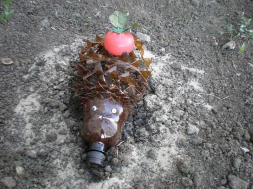 Ежик из шишки и пластилина. Как сделать ежика из еловых шишек и пластилина, пластиковых бутылок или природного мастериала