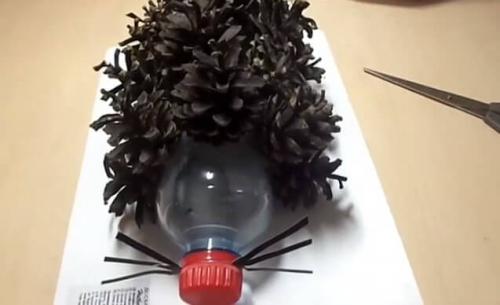 Ежик из бутылки и шишек. Ежик из шишек и пластиковой бутылки: большой и маленький (2 мастер класса)