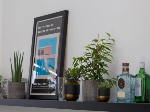 Комнатные цветы на окне. Комнатные растения в интерьере квартиры и дома