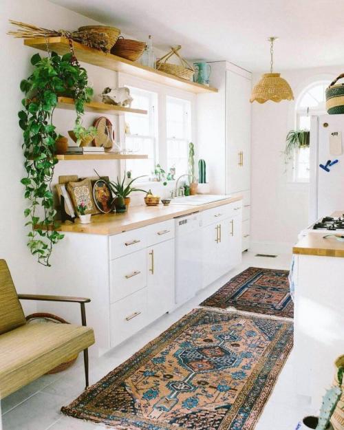 Комнатные цветы на окне. Комнатные растения в интерьере квартиры и дома