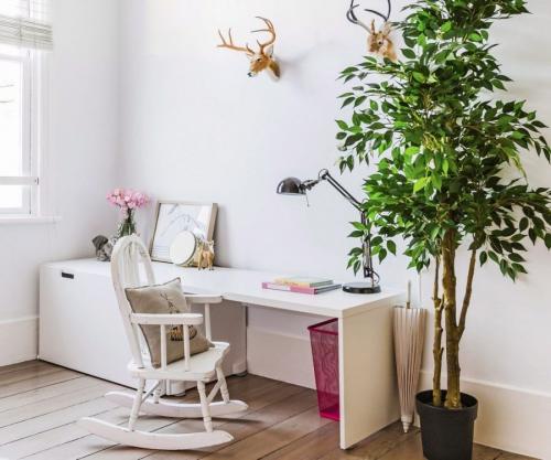 Комнатные цветы на окне. Комнатные растения в интерьере квартиры и дома