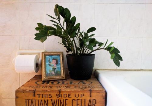 Комнатные цветы на окне. Комнатные растения в интерьере квартиры и дома