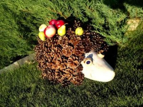 Ежик из еловых шишек. Как сделать ёжика из шишек еловых