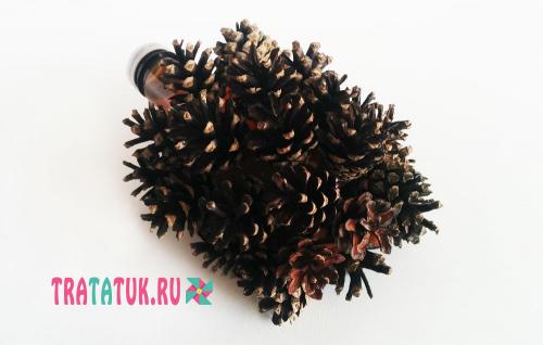 Забавный ежик из шишек и пластиковой бутылки: пошаговая инструкция