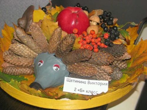 Ежик из шишек и пластилина. Как сделать ежика из еловых шишек и пластилина, пластиковых бутылок или природного мастериала