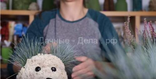 Ёжик из пластиковых бутылок. Осенняя поделка «Ежик»: 100 идей 21 Ёжик из пластиковых бутылок. Осенняя поделка «Ежик»: 100 идей 21