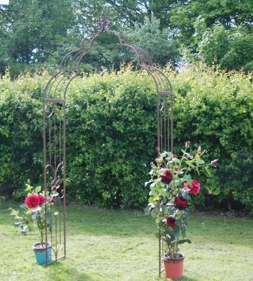 Арки садовые для вьющихся растений. Садовая арка — советы и инструкции по постройке своими руками (120 фото-идей)