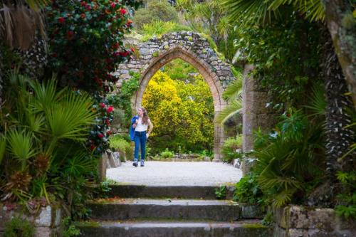 Арки садовые для вьющихся растений. Садовая арка — советы и инструкции по постройке своими руками (120 фото-идей)